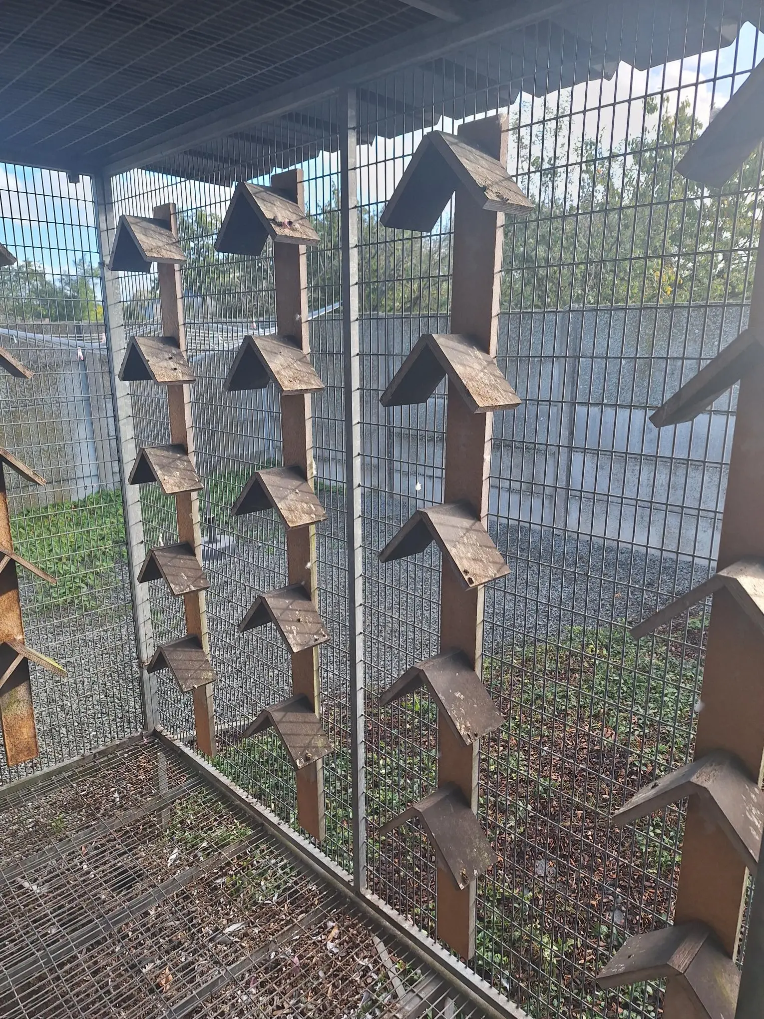 Te koop volière 