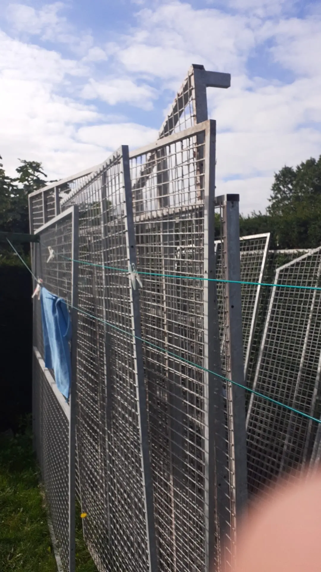 duivenpanelen