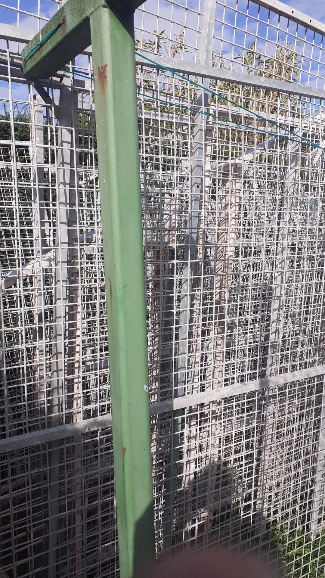 duivenpanelen