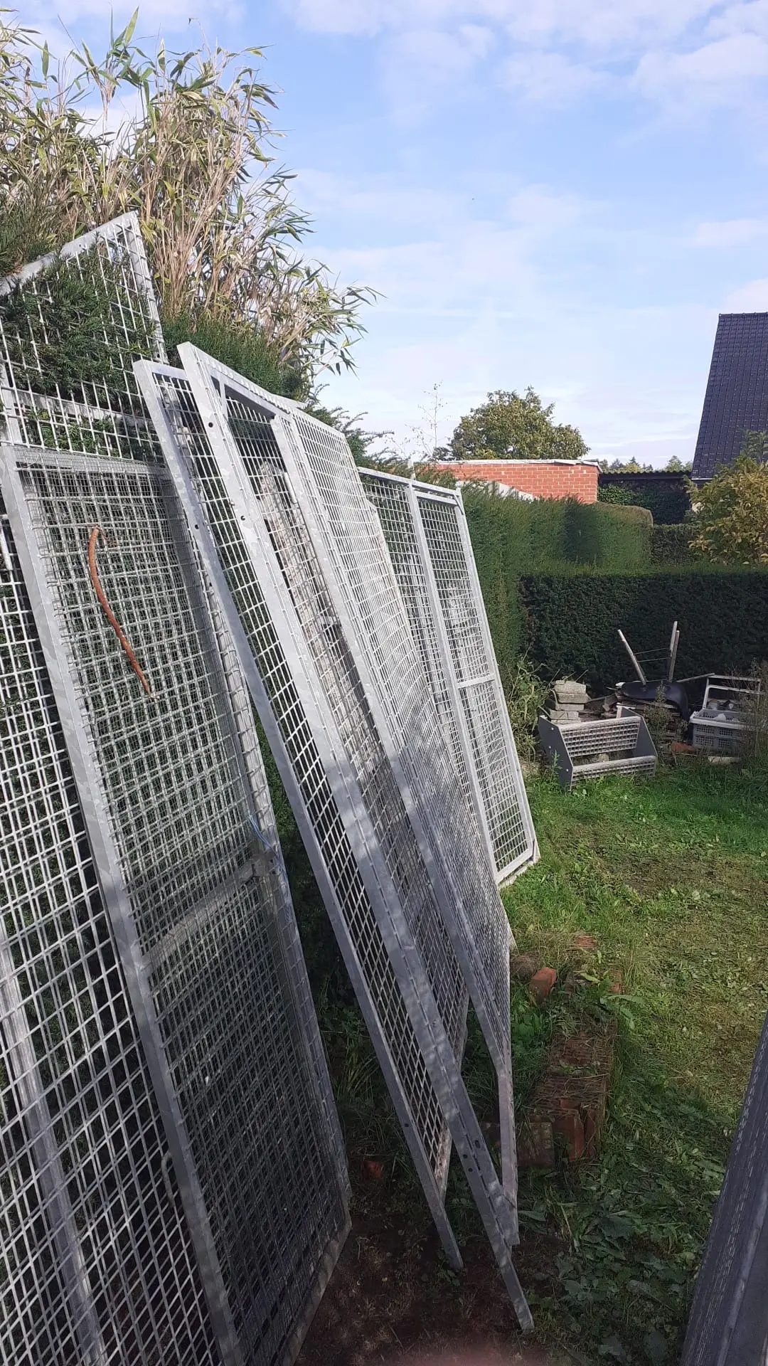 duivenpanelen