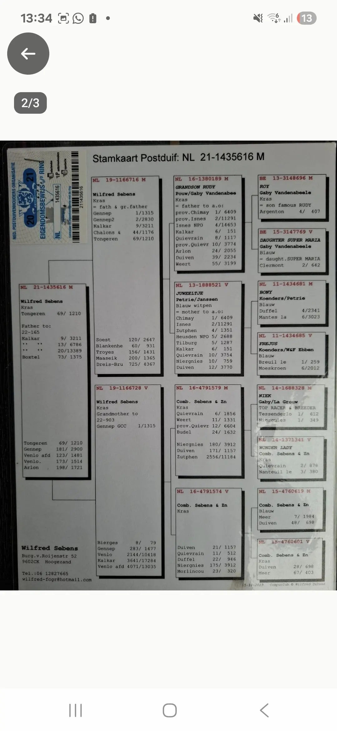 Bewezen Prestatie/Kweek koppel.