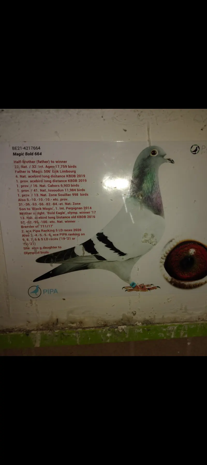 Te koop