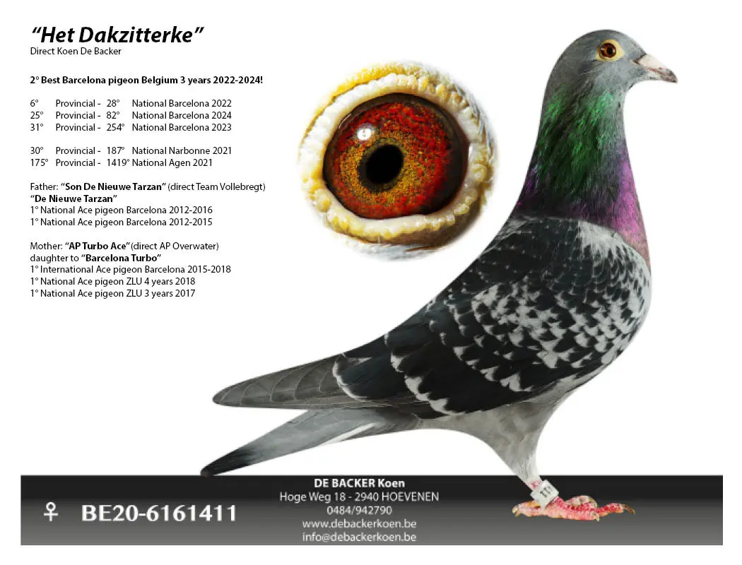 “Victor” x zus “Het Dakzitterke”