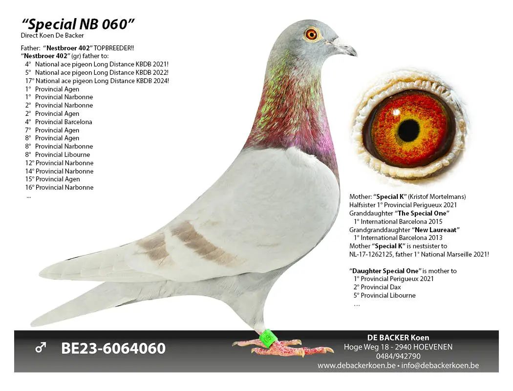 Kleinzoon stamdoffer “Nestbroer 402”