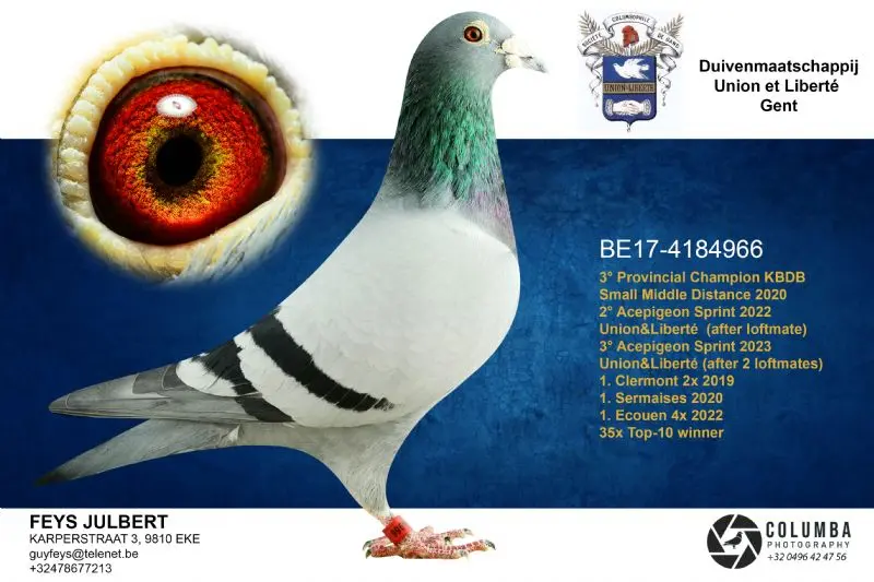 2 jongen uit de kwekers. Unieke kans om je kweekhok te versterken