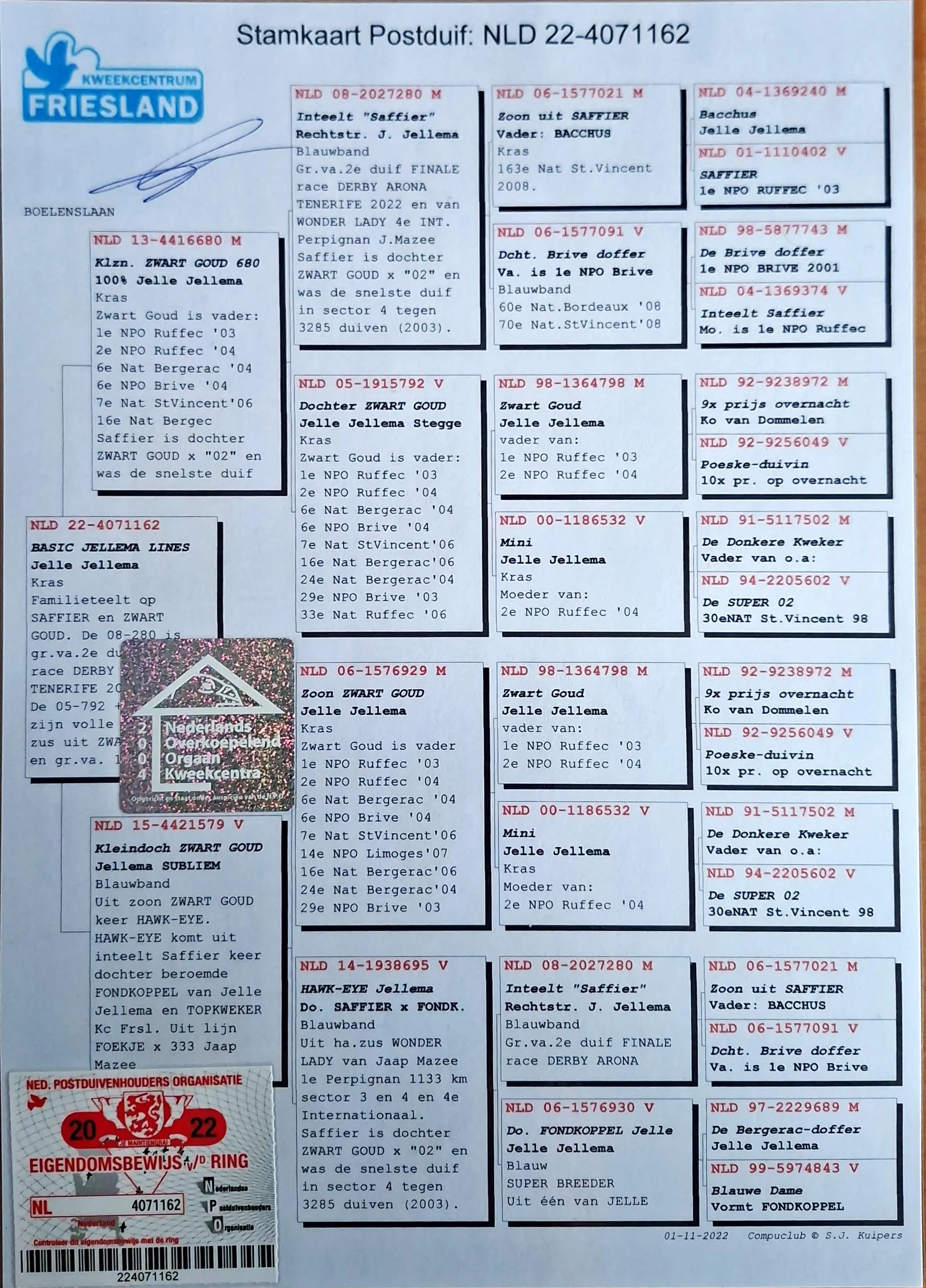 Duivers en duivinnen te koop