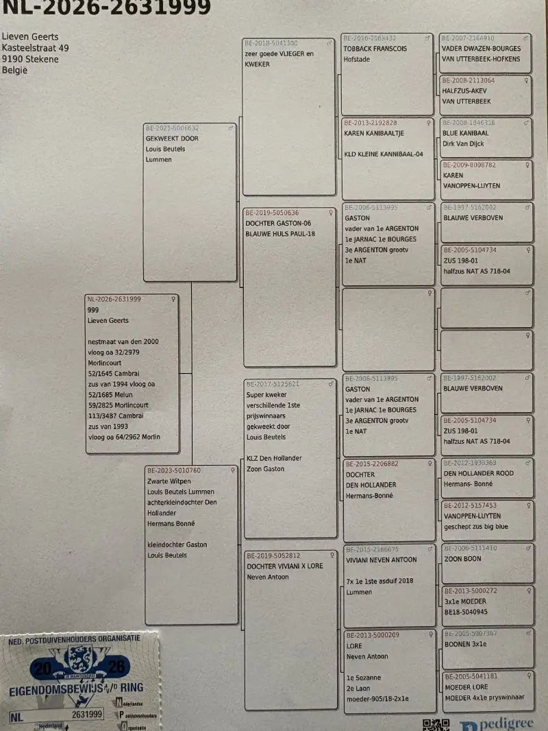 Duivin uit den Hollander x kannibaal04
