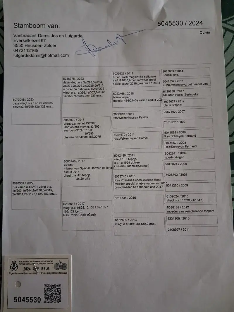 Wegens afzegging - Zwart Koppel
