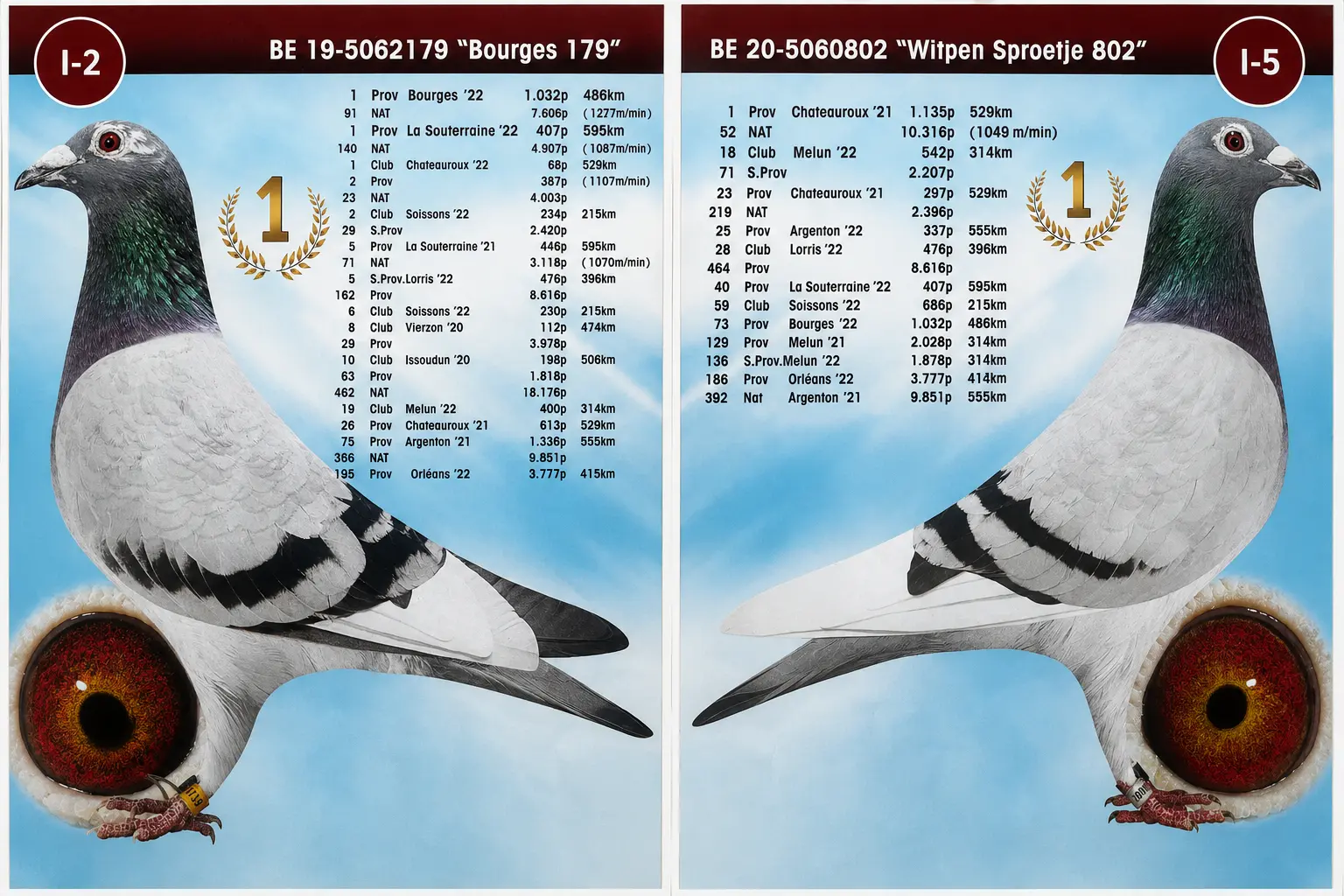20jonge klaar voor winterkweek 