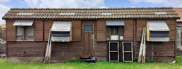 Duivenmateriaal te koop