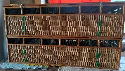 Duivenmateriaal te koop