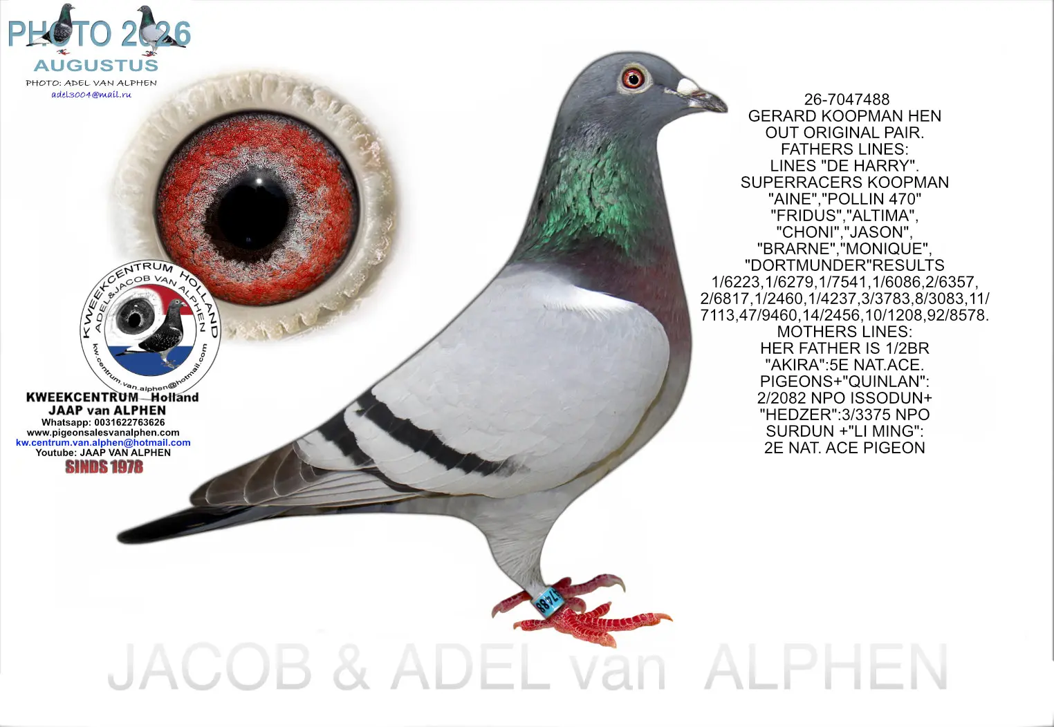 26-7047488 GERARD KOOPMAN HEN