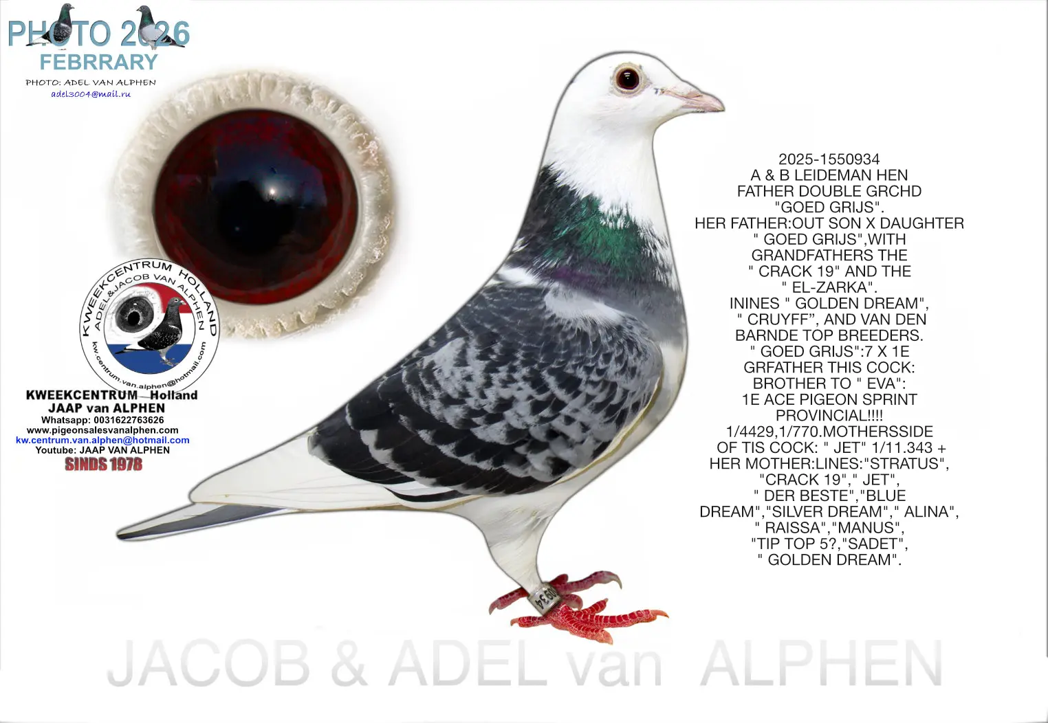 25-1550934 A & B LEIDEMAN HEN