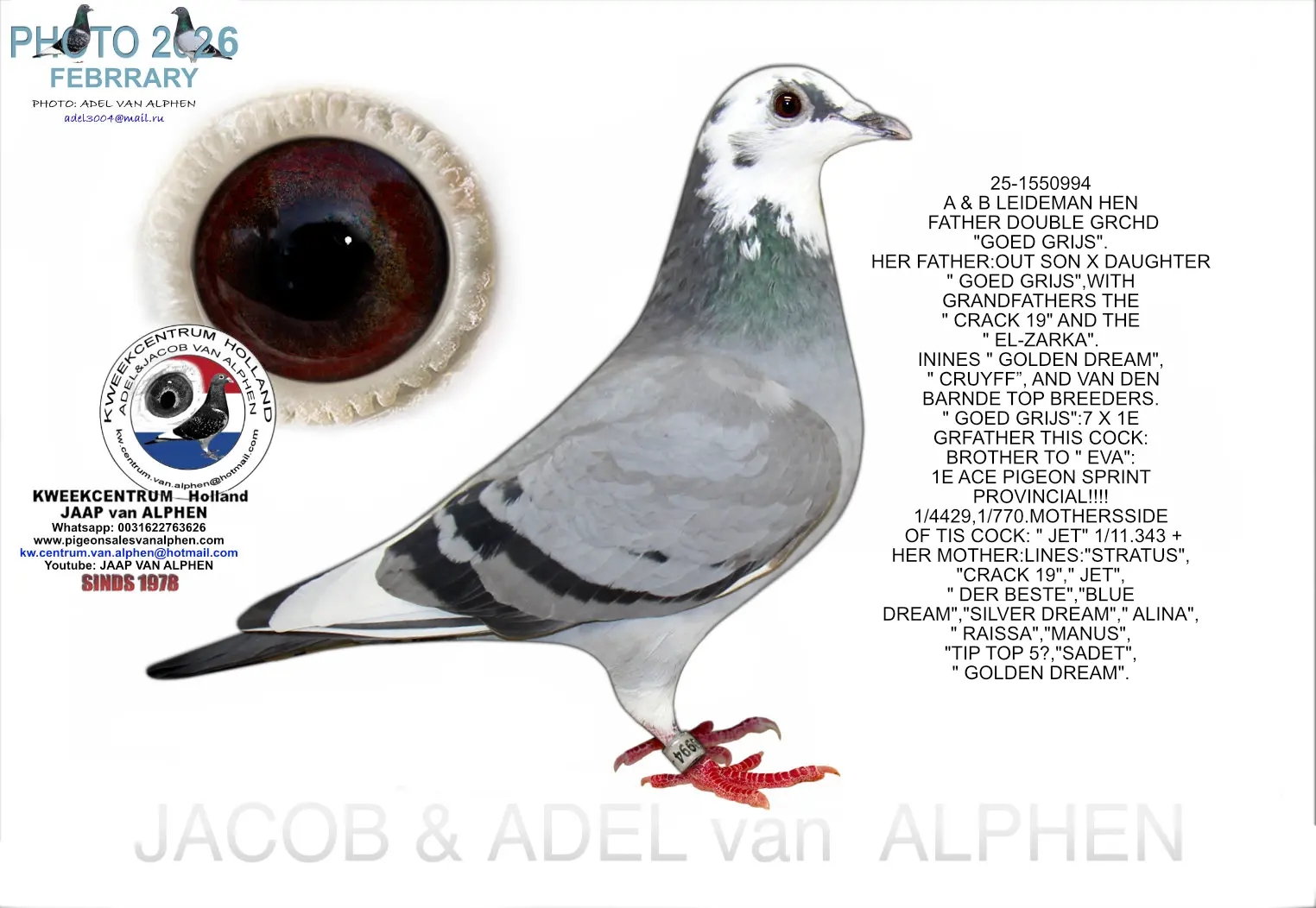  25-1550994 A & B LEIDEMAN HEN