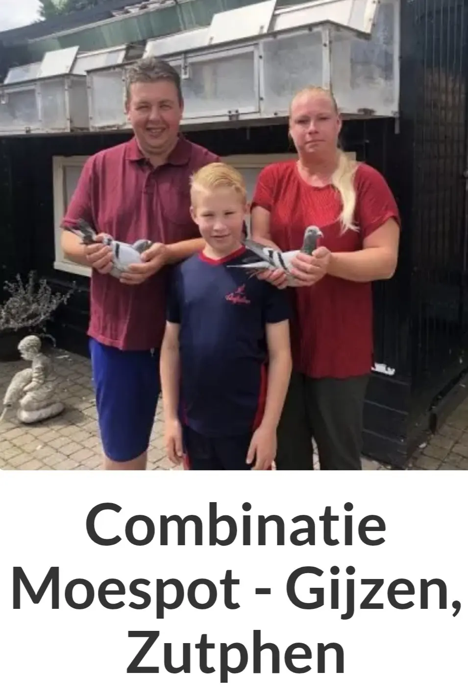 Comb. Moespot-Gijzen kweek duivin.