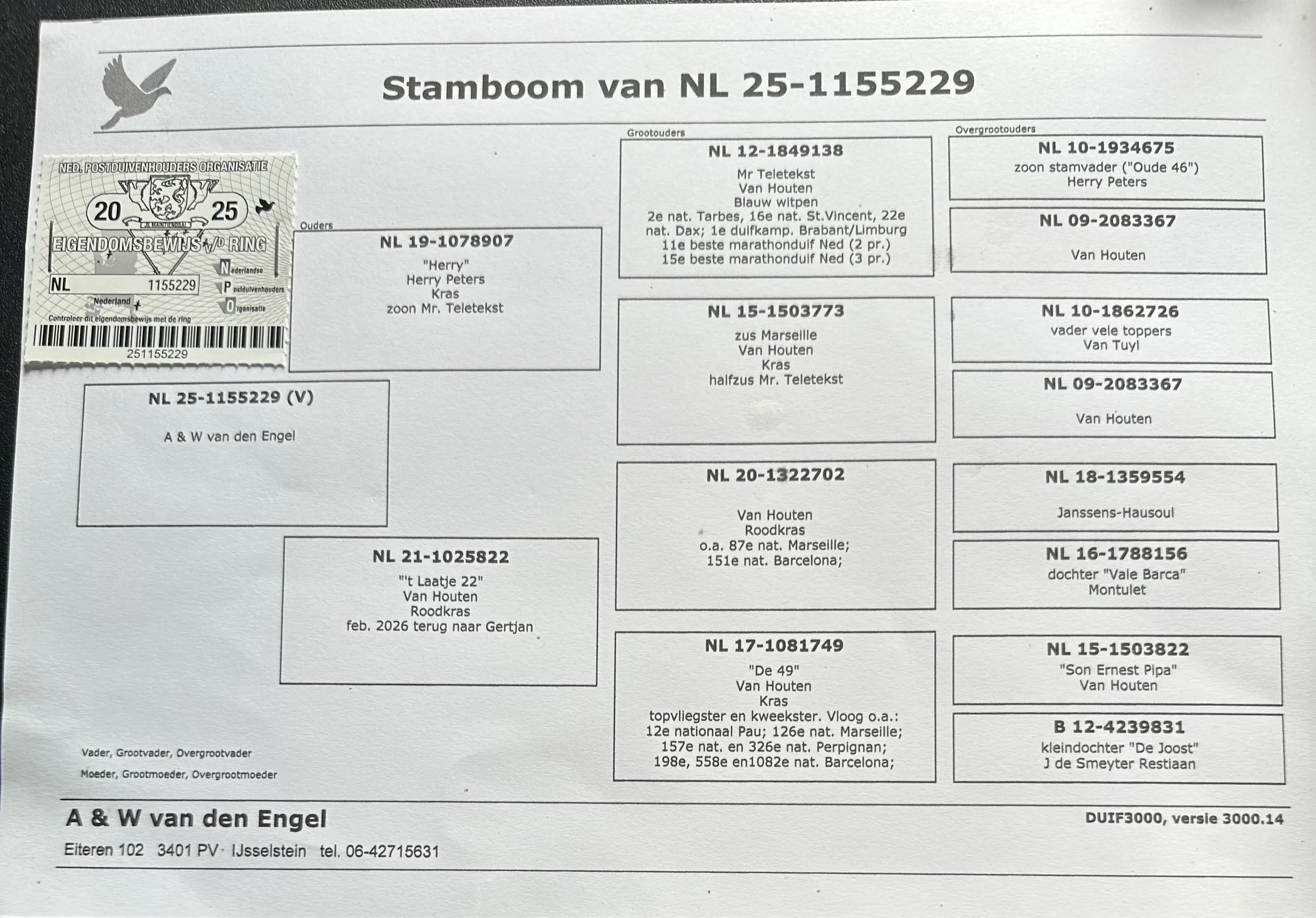 Zwarefond duivin van Houten