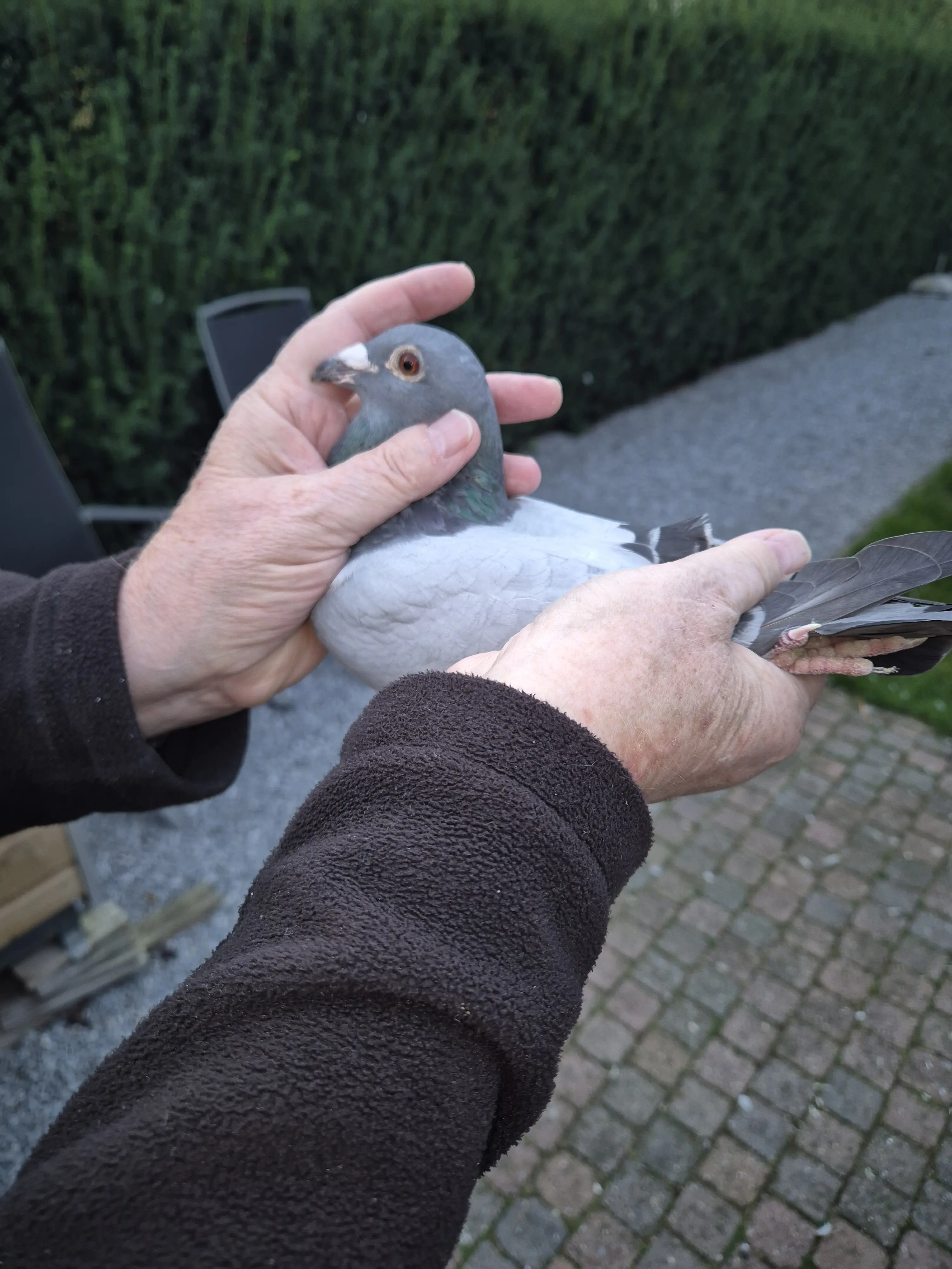 Overnacht doffer 