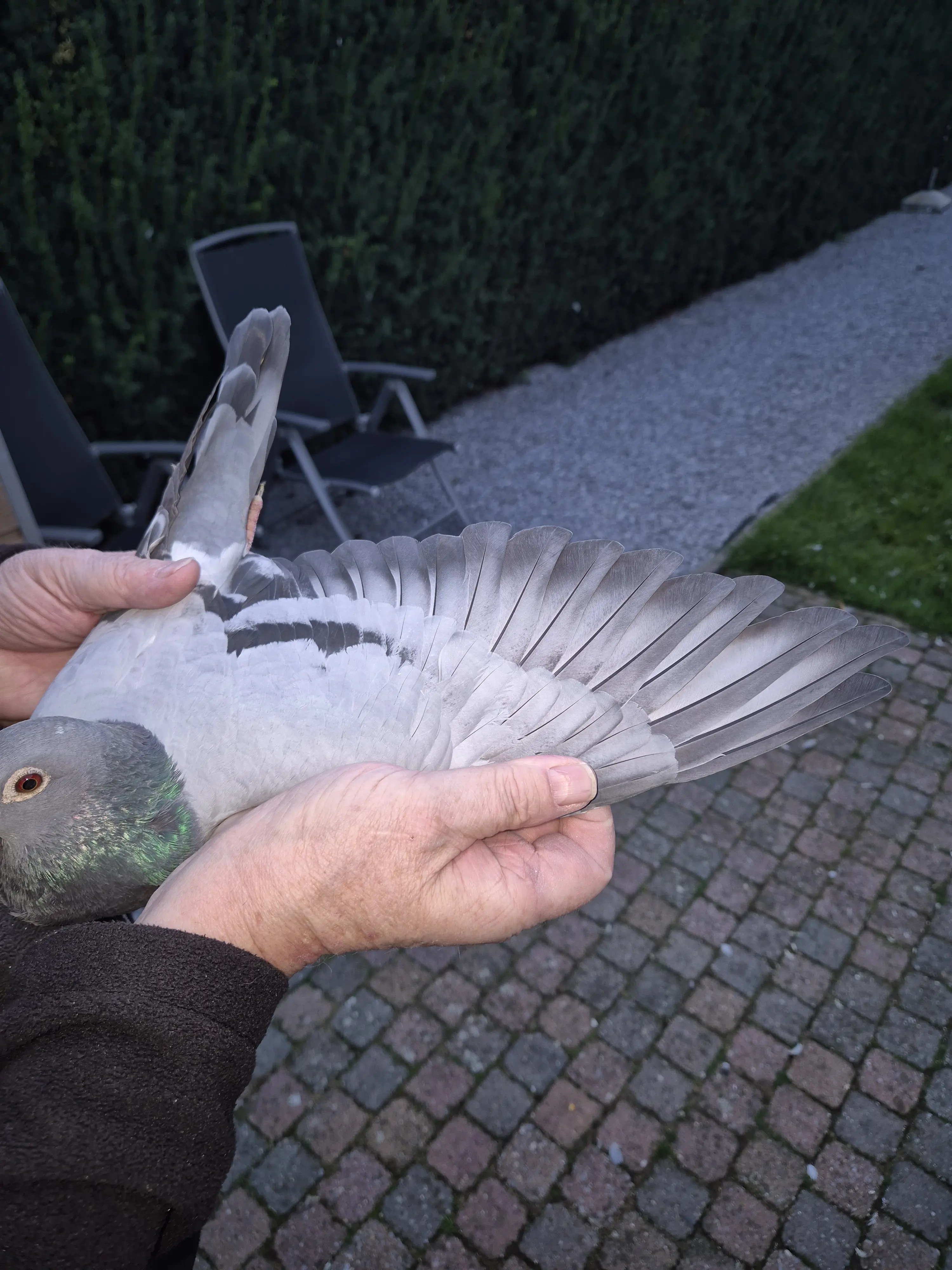 Overnacht doffer 