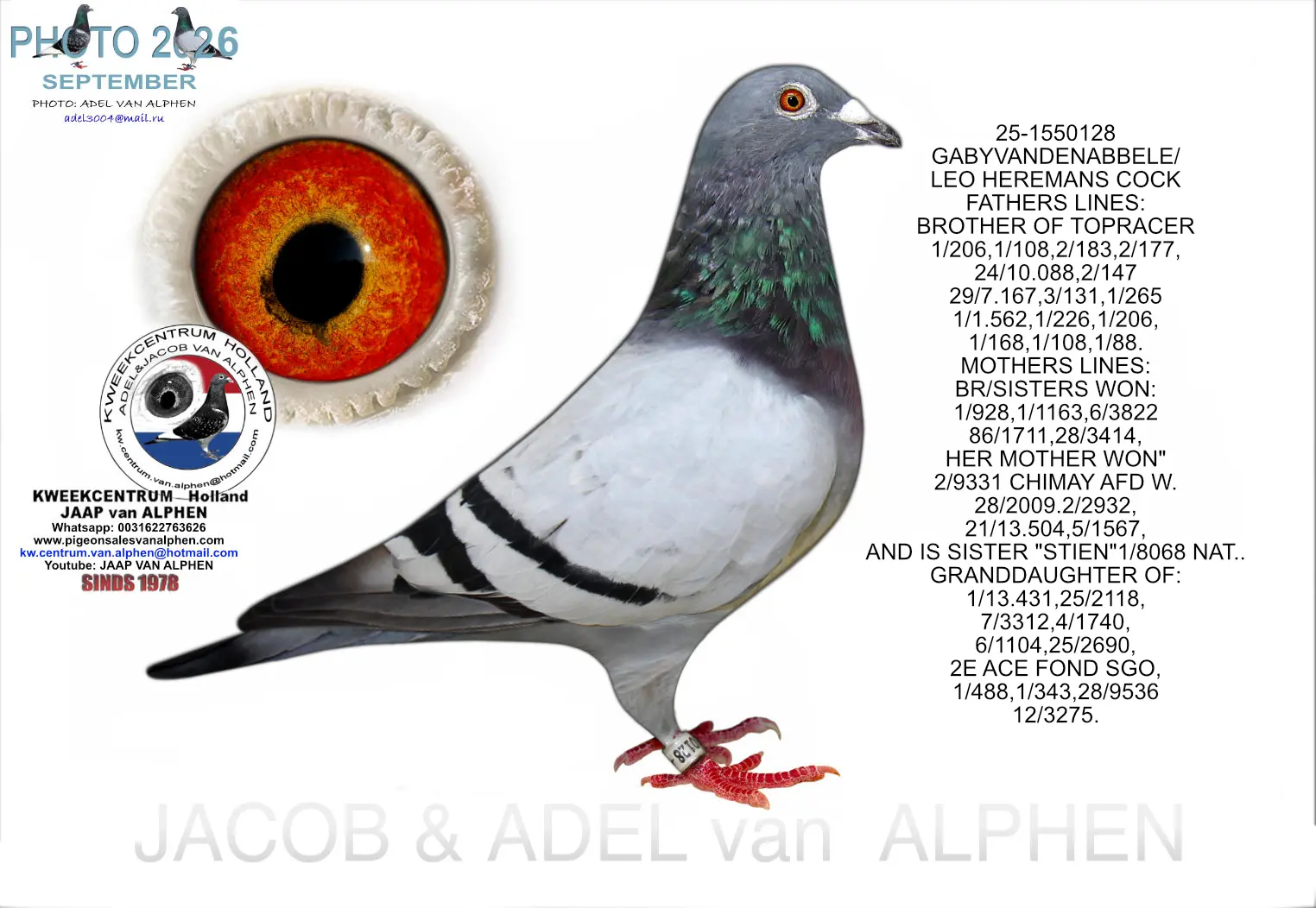 GABYVANDENABBELE/LEO HEREMANS COCK