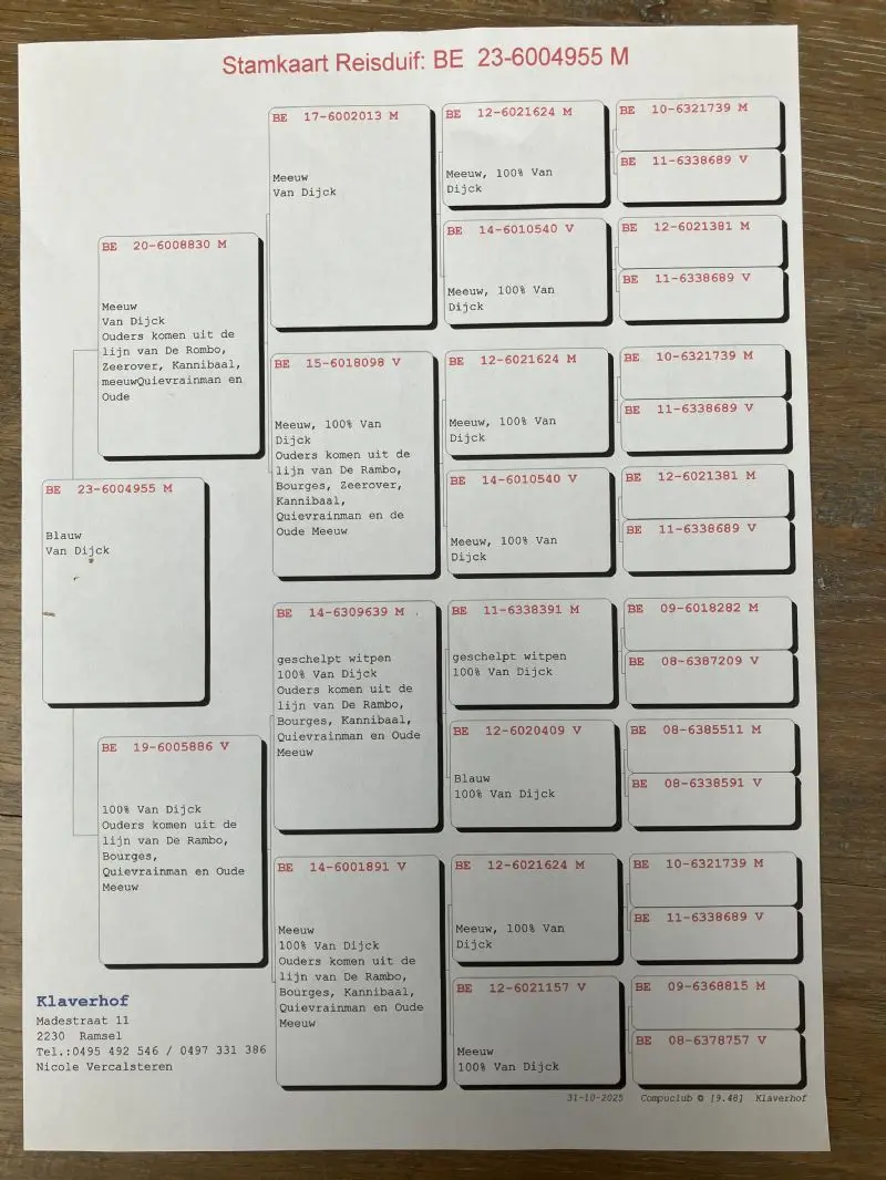 Totale verkoop wegens verhuis