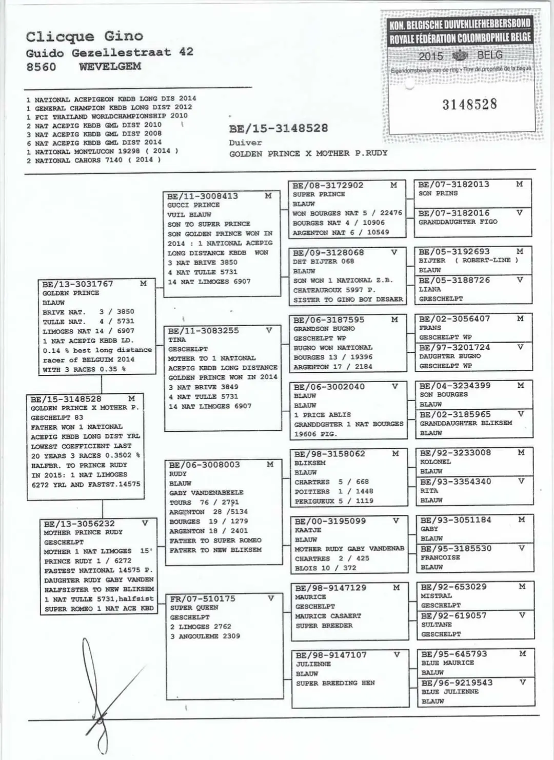 Fils Golden prince 