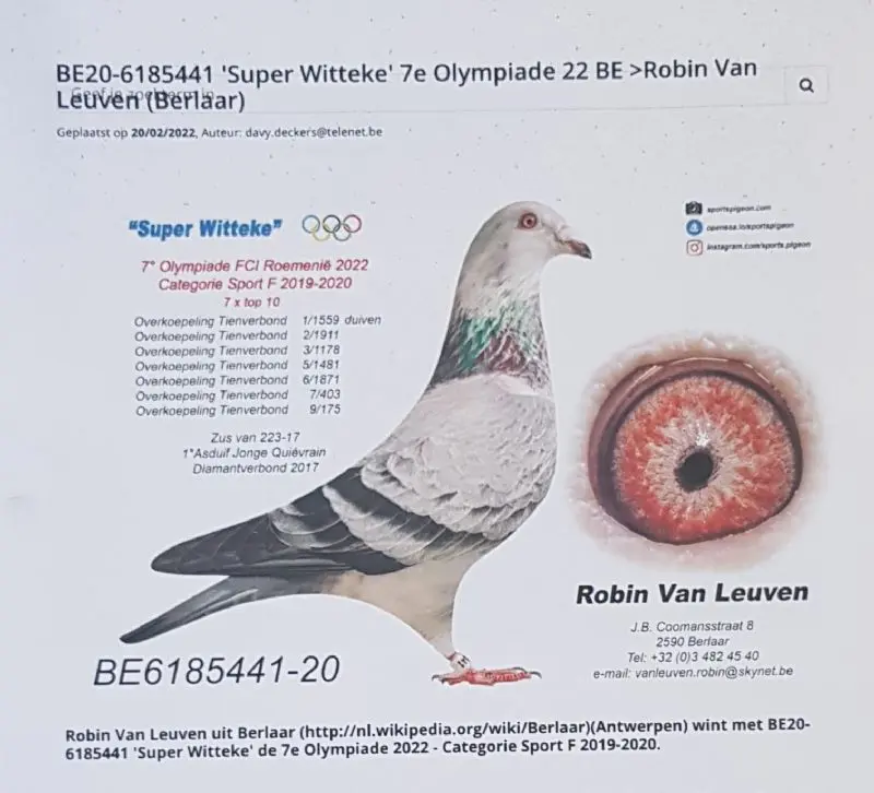 Allerbeste van Robin Van Leuven x V.D Bulck Dirk
