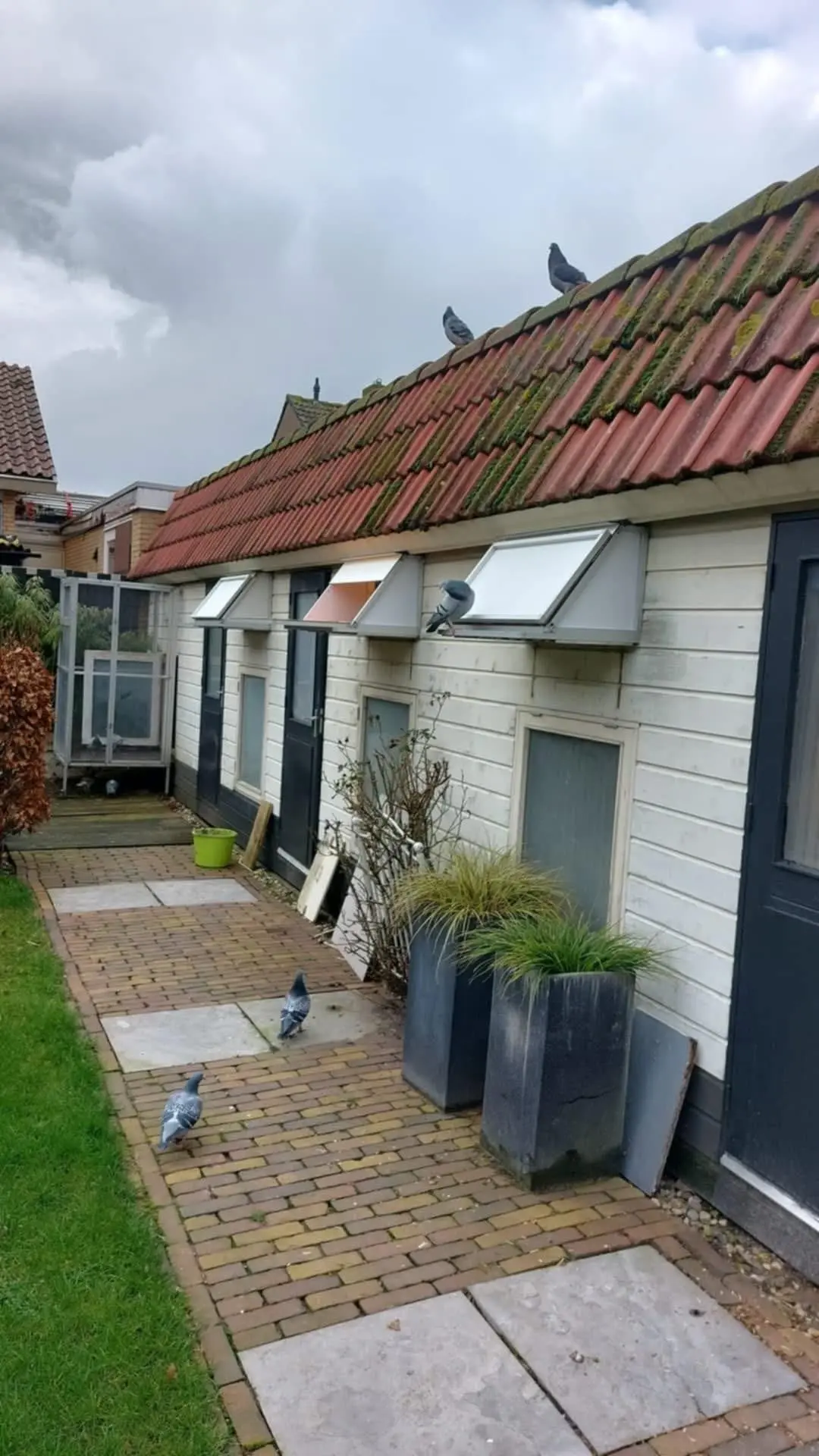 Tekoop Valplanken op maat