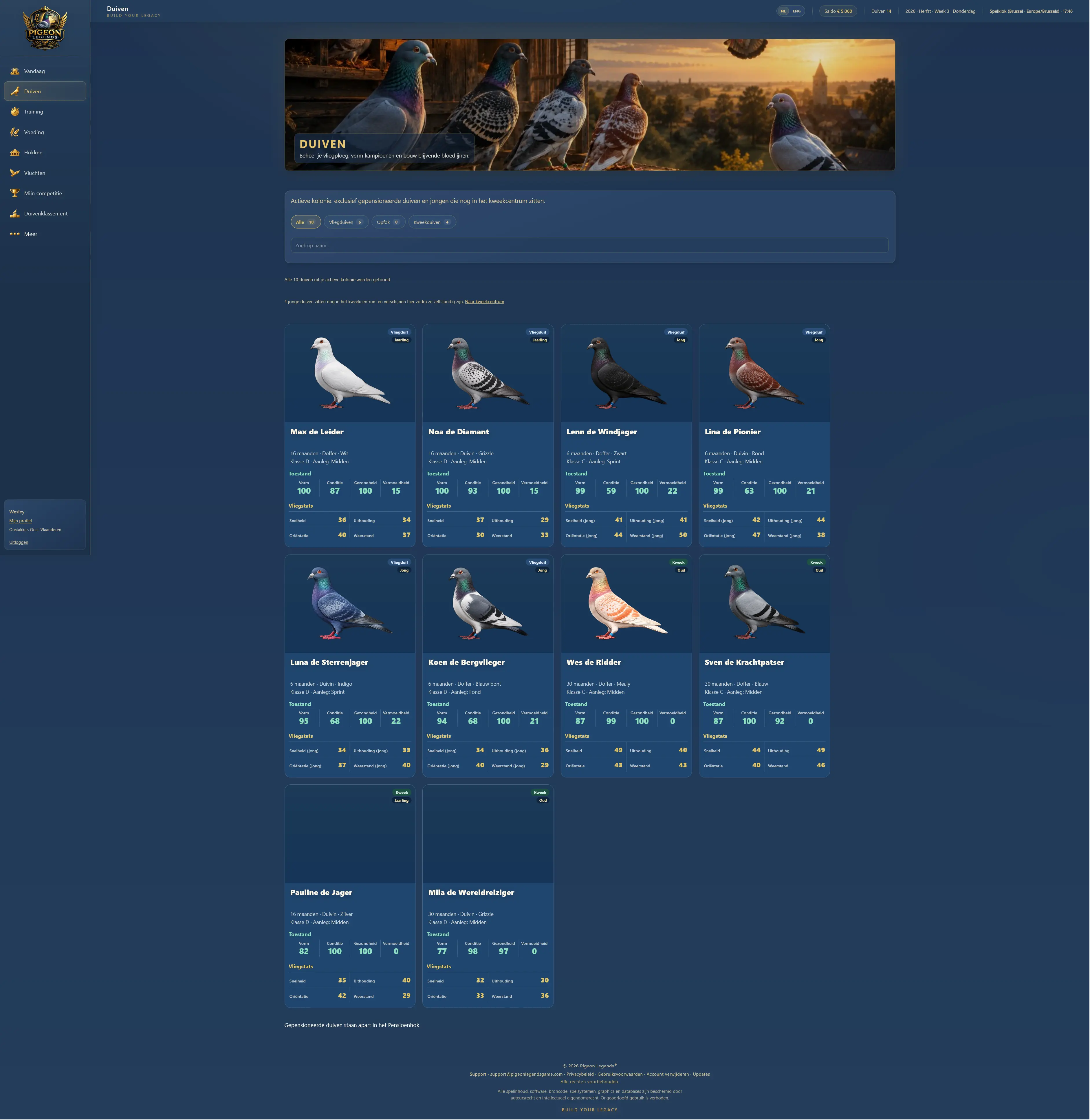 Pigeon Legends – online duivensportspel