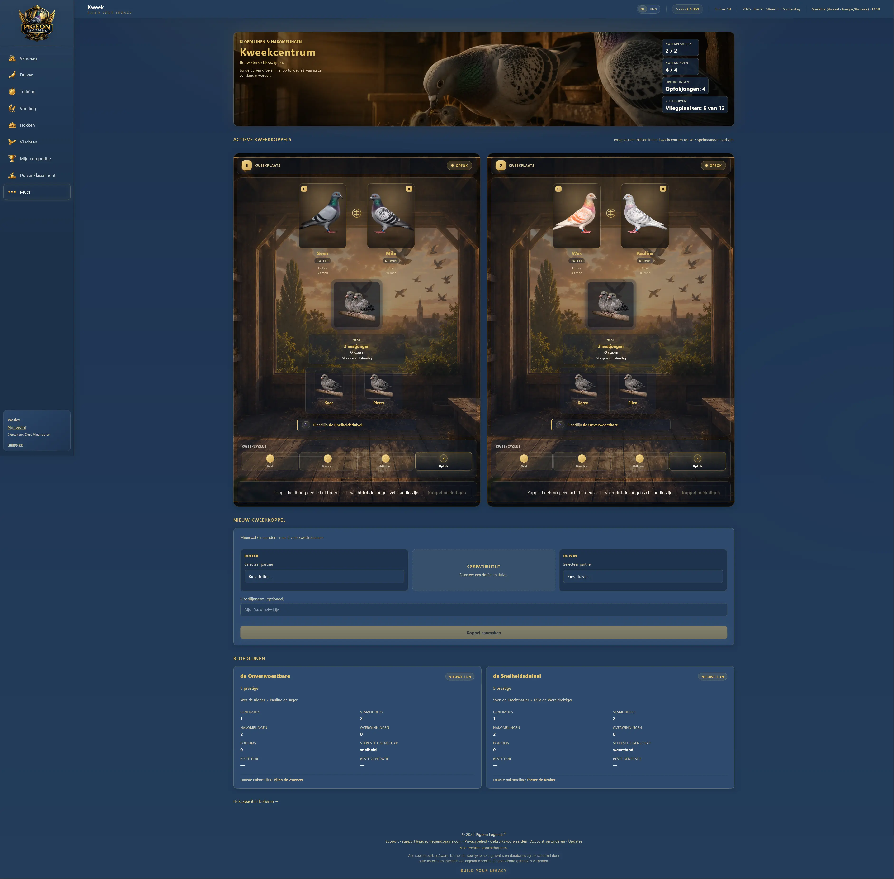 Pigeon Legends – online duivensportspel