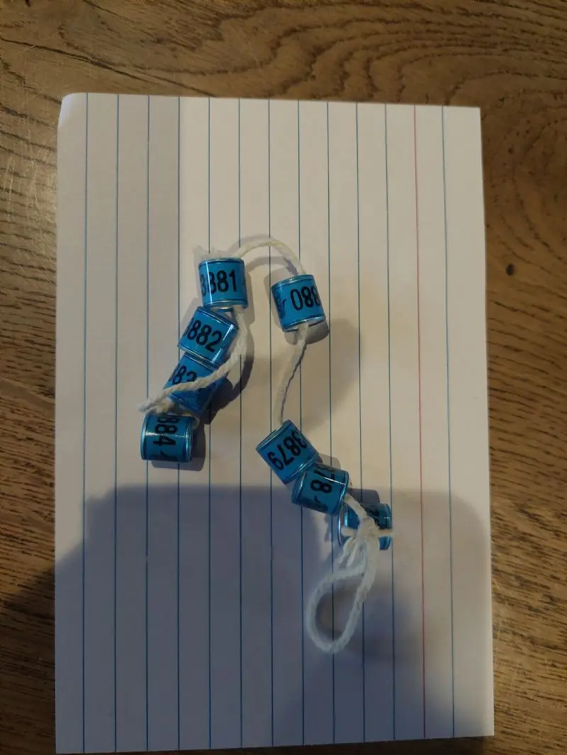 Te koop 9 ringen nog van 2026