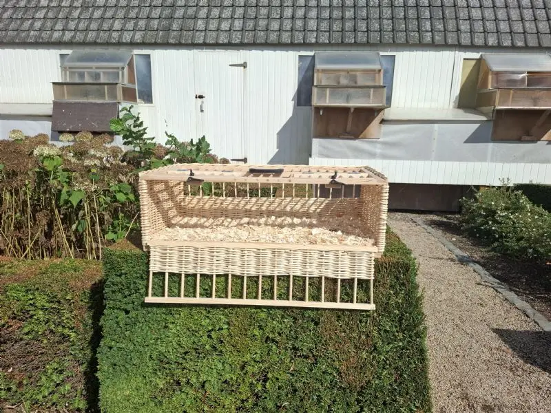 Gevlochten opleermanden