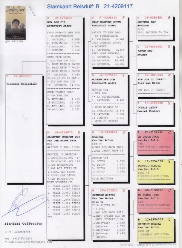 Duivin, Flanders Collection, Kittel, Greipel