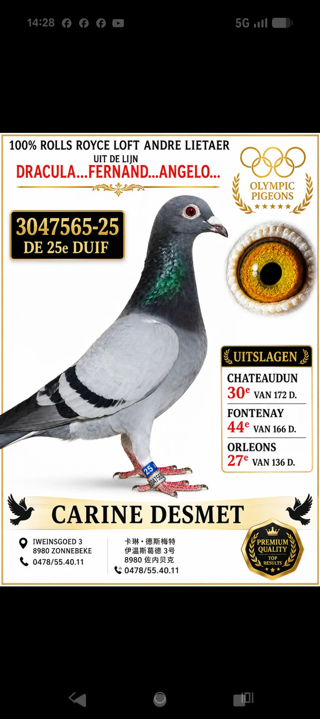  jonge duiven 2027 - Deonduiven