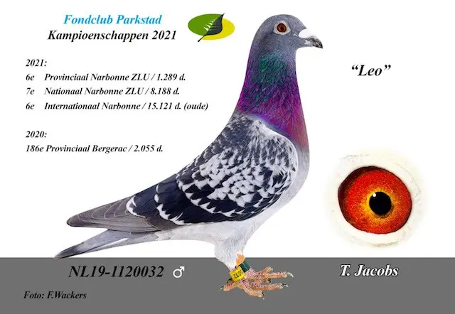 Jong 2027 rechtstreeks uit de Leo, 7e nationaal Narbonne