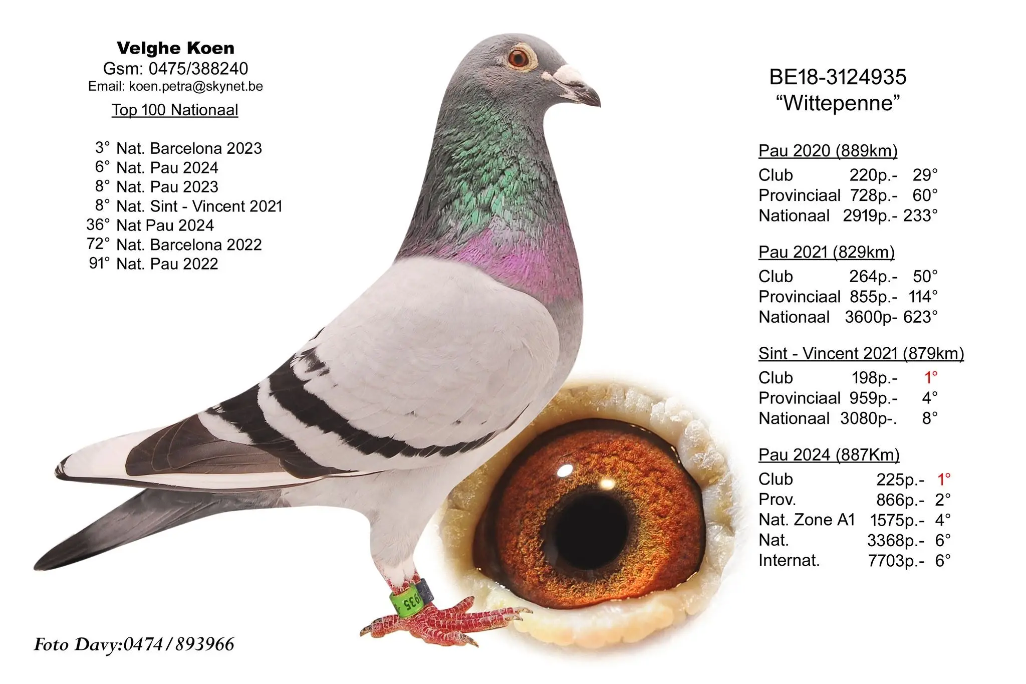 Een jong te kiezen uit een koppel jongen uit de Wittepenne