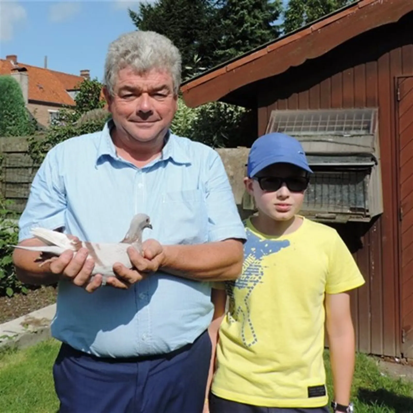 Een Jonge duif 2027 van de 2e ronde