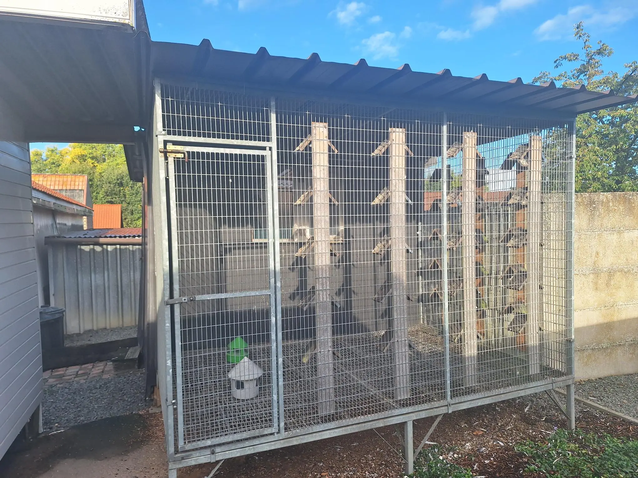 Te koop duiven voliére perfecte staat 2x3m 
