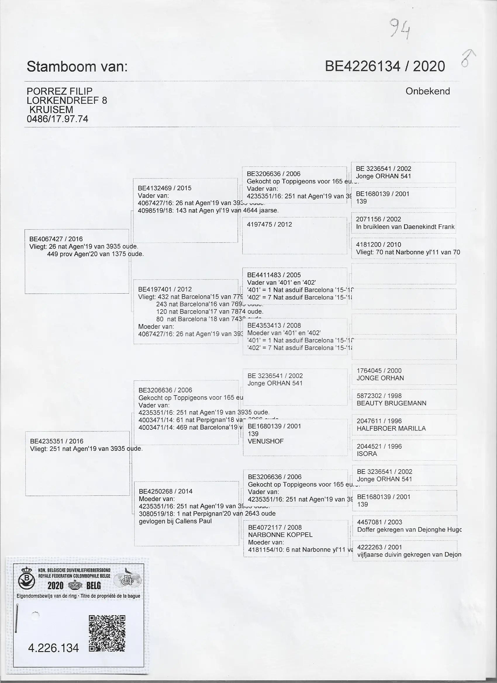 3 Rechtstreekse Filip Porrez duivers 