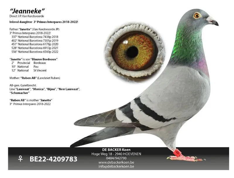 Kleinkind stamkweker 